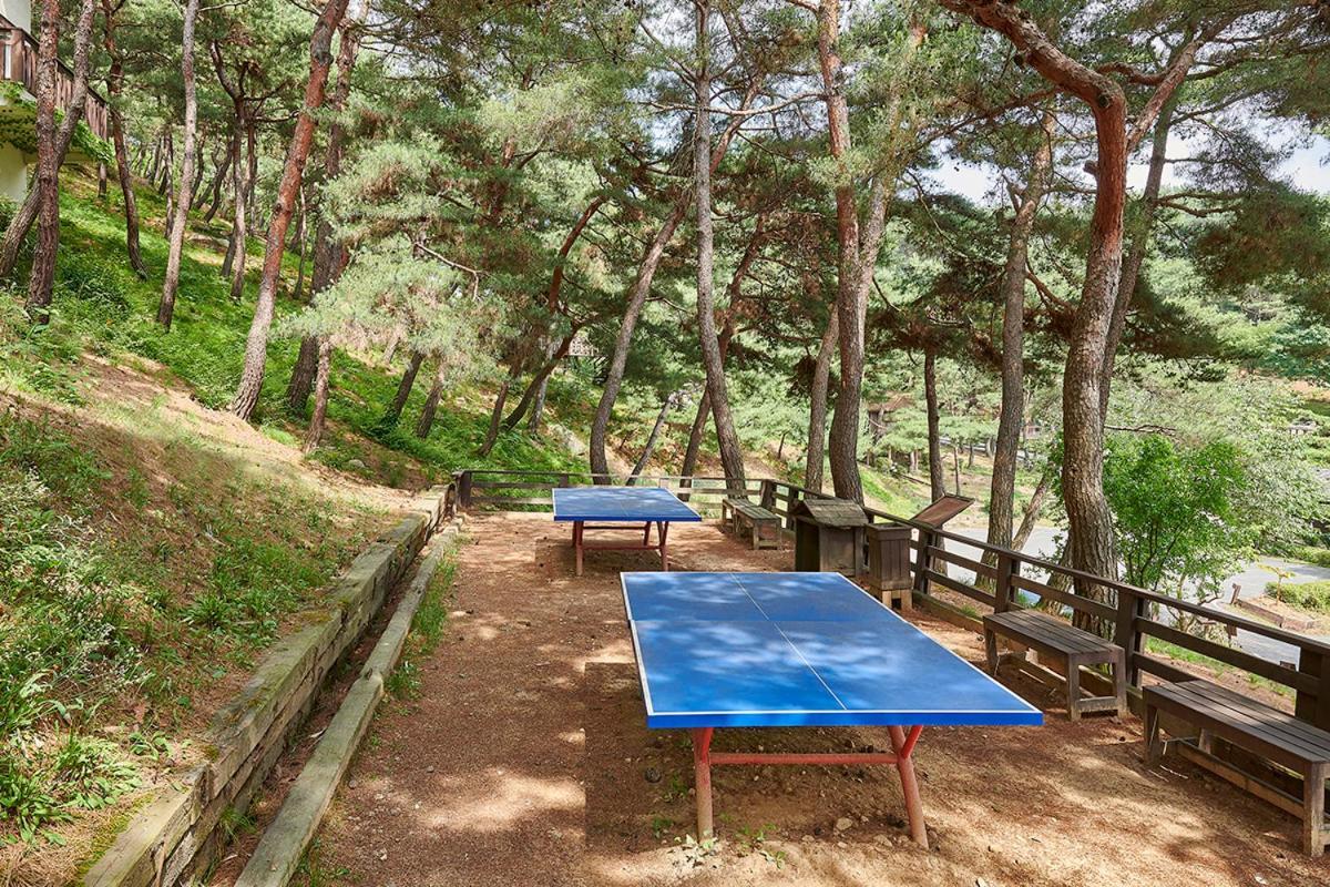 Club Es Jecheon Resort Chech'ŏn Eksteriør billede